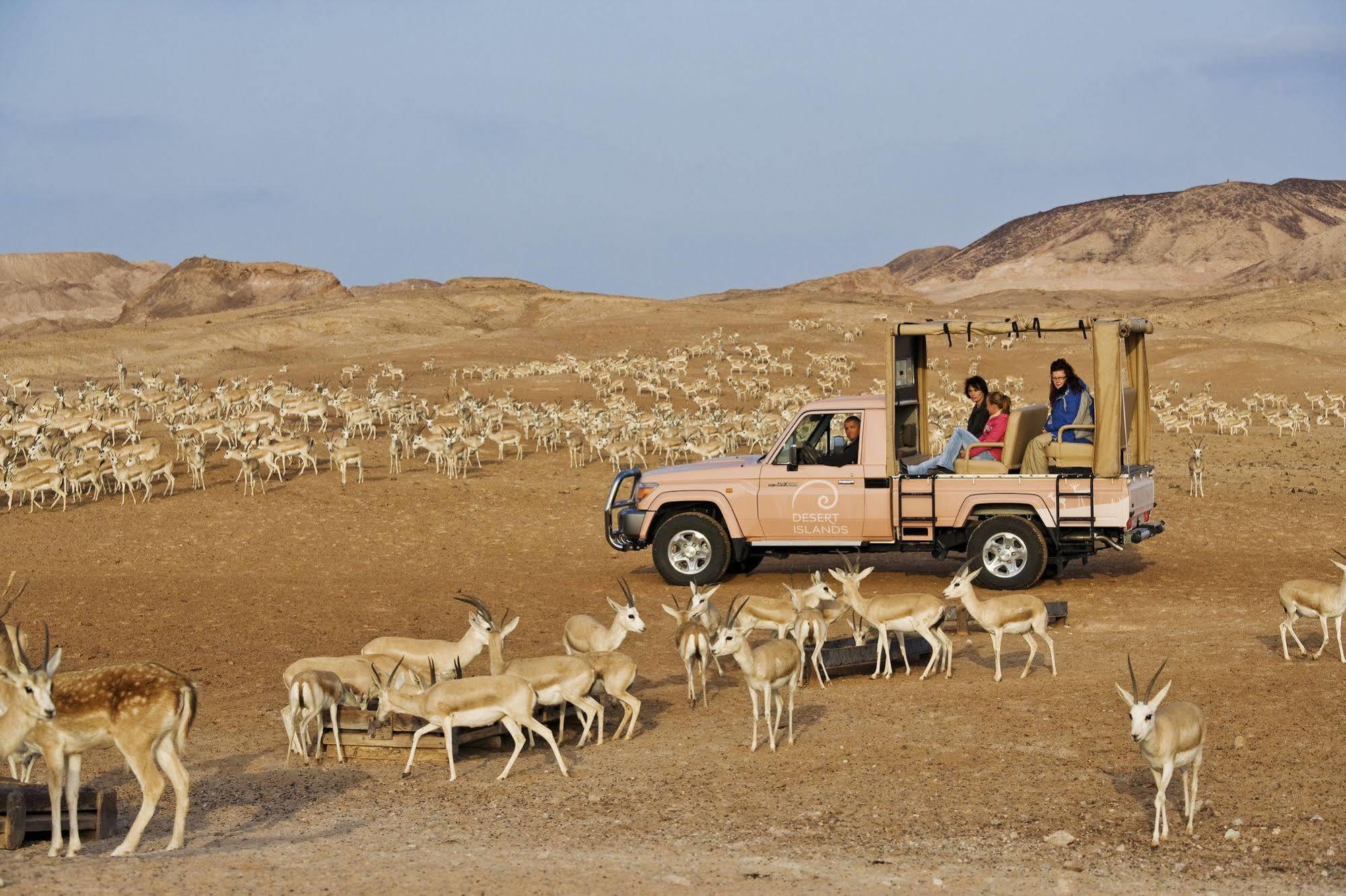 Anantara Sir Bani Yas Island Al Sahel Villas Zahr Exterior photo