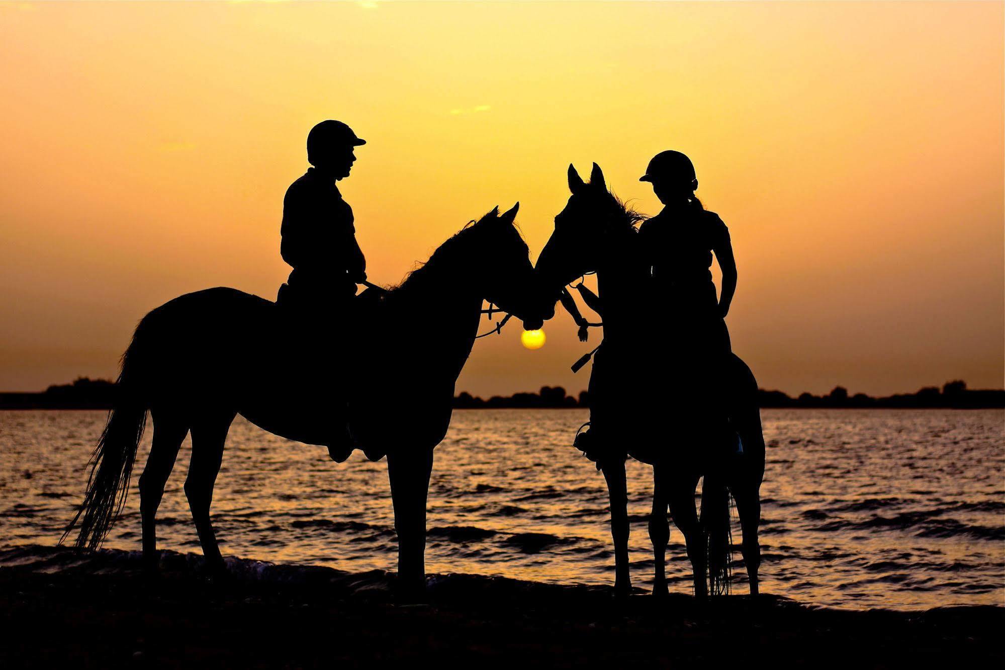 Anantara Sir Bani Yas Island Al Sahel Villas Zahr Exterior photo